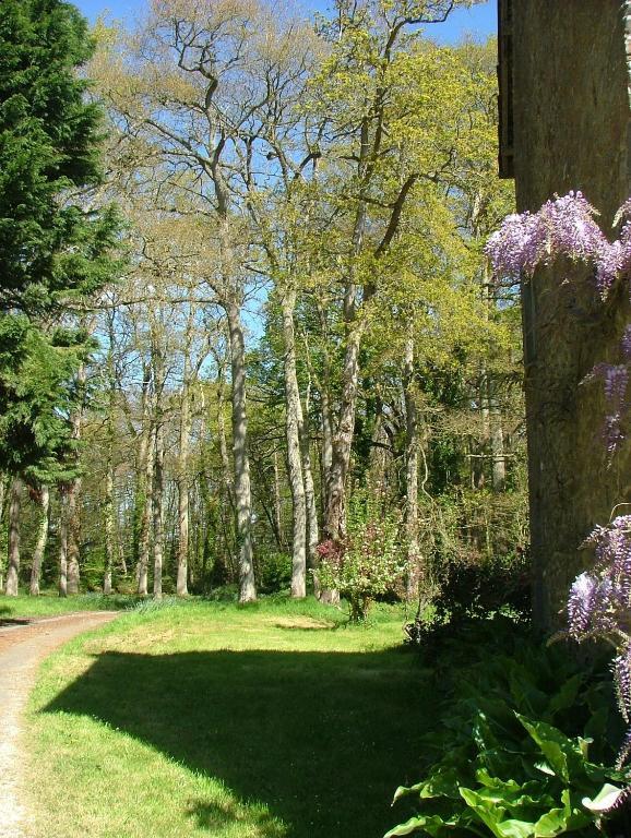 Gites De Launay Guibert Miniac-Morvan Екстер'єр фото